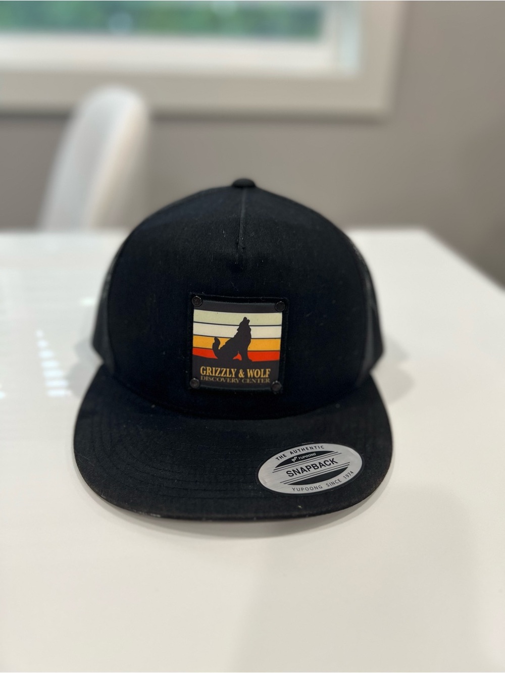 Black Snapback Hat “Grizzly & Wolf” great condition